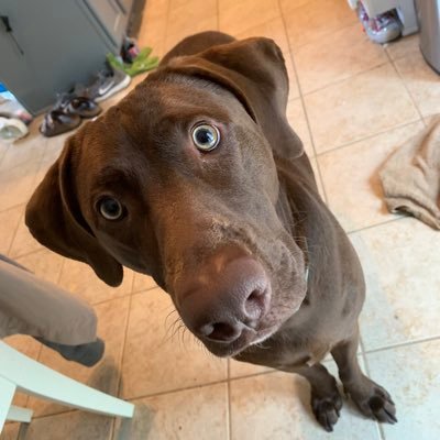 HistoryLover250's profile picture.