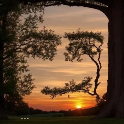 robloxface4pres's profile picture. 