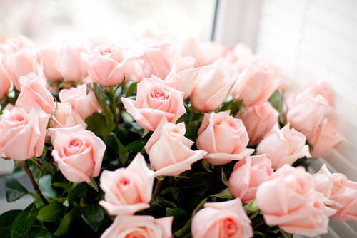 ♥ Welcome! I'm Mary, a girl who makes the best of whatever life throws at her♥