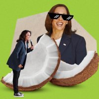 LuminousFlicker (@luminousflicker) 's Twitter Profile