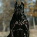 Enzo Gonzalez (@maste0962) Twitter profile photo Enzo Gonzalez (@maste0962) Twitter profile photo