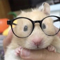 누닮 (@bamtoriga) 's Twitter Profile Photo 누닮 (@bamtoriga) 's Twitter Profile Photo