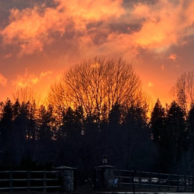 FissileFinance's profile picture. American Zionist Catholic Jew (it’s complicated, but yeah…). USAF vet. Data Scientist - Clinical Research. A Dad that can smell lies…