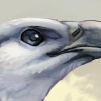 ガル(Navy_gull) (@navy_gull) 's Twitter Profile