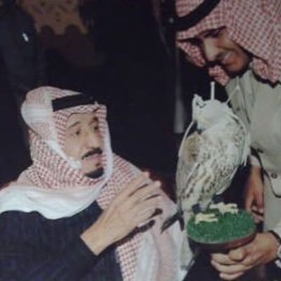 t3liis's profile picture. وتبقى خيرة الله دائماً خيراً من امانينا.