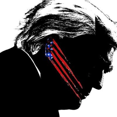 🍊🦆🐬🐧🐆
US Army Vet 🇺🇸🎖
'A left brain Veteran, with a Right brain degree is a dangerous combo' - W.
photographer 📸
video editor 🎥📹