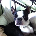 Jane Mcleod - @janemc9 - Twitter