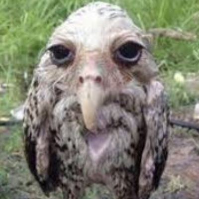 librede_funasxd's profile picture. no me sigan putos