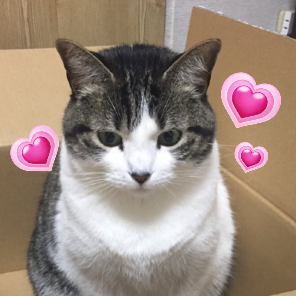 Masae0813777's profile picture. リハビリ中ﾃﾞｽ🥹🙏🏼✨