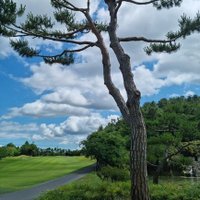 🍭캔디젤리커플 (@eqofnxd6pp6301) 's Twitter Profile