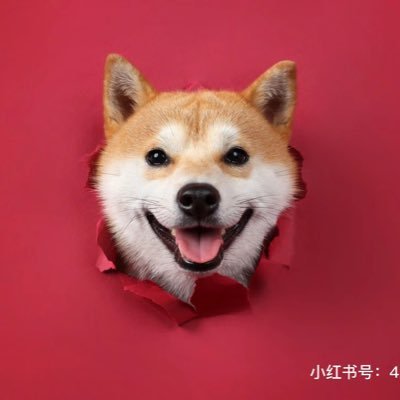 AdazzlingDoge's profile picture. dogecoin holder do only good everyday