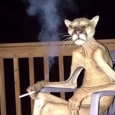 Adicto a la saga souls y al anime. Demasiado cine 🚬