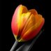 nomi bajwa (@nomibaj94913730) Twitter profile photo nomi bajwa (@nomibaj94913730) Twitter profile photo