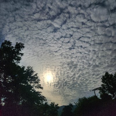 itsaodesu's profile picture. walk on believe in today

ジャニーズ multifandom