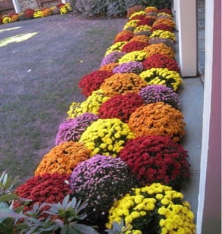 losaltosmary's profile picture. 