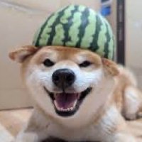 Bunchie (@bunchiemusic) 's Twitter Profile Photo Bunchie (@bunchiemusic) 's Twitter Profile Photo