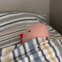 Moo (@asyncmoo) 's Twitter Profile
