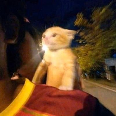 AurelioMedina_'s profile picture. Una vida en cromatismos ascendentes...