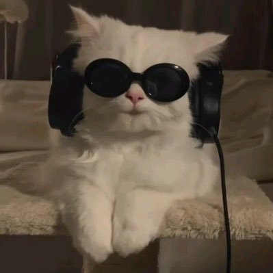 MyRoomIsBad's profile picture. まだまだ頑張れます！