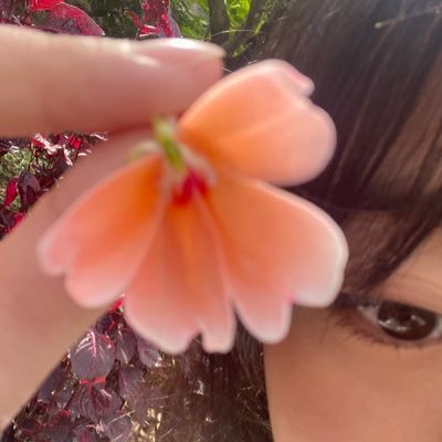 yoursamora's profile picture. infinity — 🌷