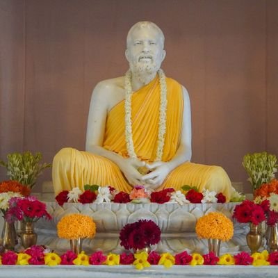 Bug_vs_'s profile picture. 