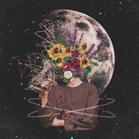 Pushpo coder (@coderpushp85766) 's Twitter Profile