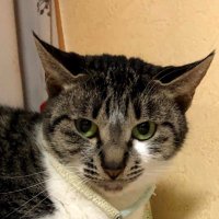 select (@select4682b) 's Twitter Profile