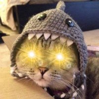 L (@eabasguliyev) 's Twitter Profile