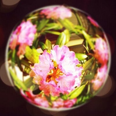 アカウント凍結から新調したのはいいけどそろそろコメントも新調した方がいいのは分かってるけどなかなかいいのを思いつかなくて今に至ります。