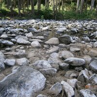 ORWSA (@orwsalliance) Twitter profile photo