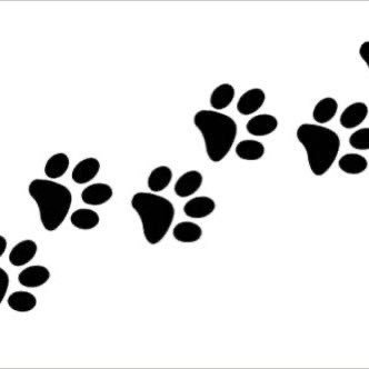 Dog Mom turned into K9 Slut as Nyxdoglover Previous X Account banned at 9k