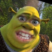 Get Out Me Swamp (@itisallogrenoww) 's Twitter Profile