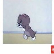 Kurdiiaa11's profile picture. CEO av spännande