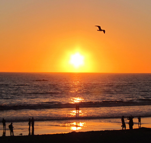 RogLopes's profile picture. Corinthians