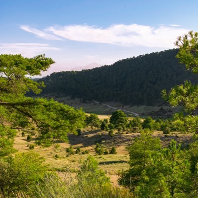 victor_juanis's profile picture. 🫠