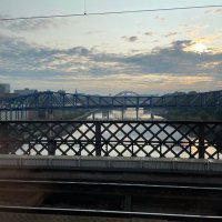 Phyll Buchanan (@phyllbuc) 's Twitter Profile