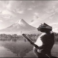 Micheal B (@1reallog) 's Twitter Profile