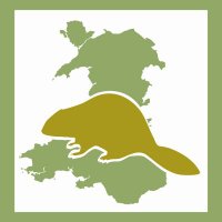Welsh Beaver Project (@beaverafanc) 's Twitter Profile