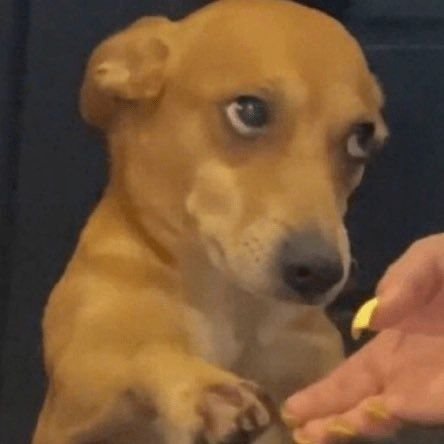 Lukas_LFB's profile picture. 