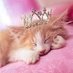 Princess Starrlala 🟧 🤘🐶🐺🐱🦄🎃💄📚 (@youniquestarr) Twitter profile photo Princess Starrlala 🟧 🤘🐶🐺🐱🦄🎃💄📚 (@youniquestarr) Twitter profile photo
