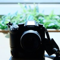 ほら男爵 (@cameota_horao) 's Twitter Profile