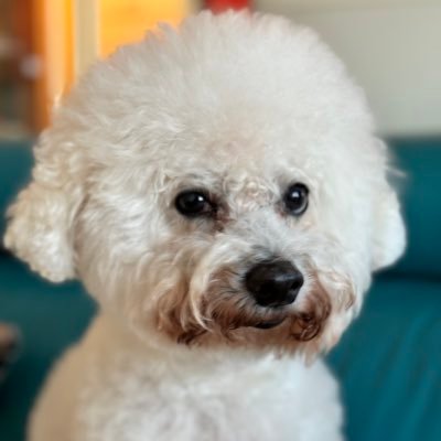 samo_mrvica's profile picture. “Čovek često ume da bude usamljen i među ljudima.”Mali Princ