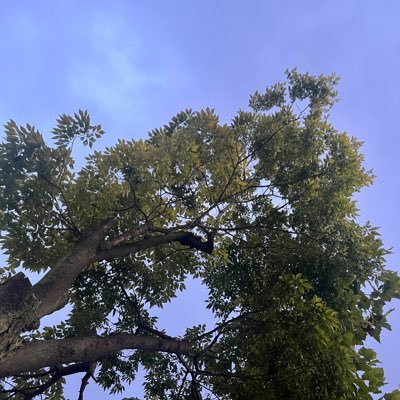 Tinkim_insight's profile picture. Rational optimist / spiral upward / Technology, Innovation