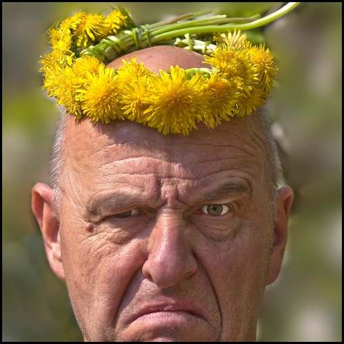 Aston_ze_Psa's profile picture. 