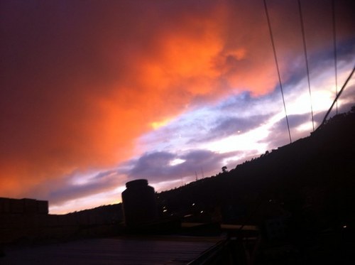 maefaryoudiyou's profile picture. 