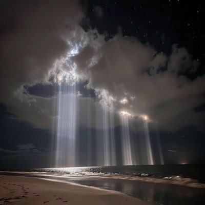 nii__ii45's profile picture. 