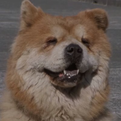 みーとさんのプロフィール画像
