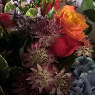 mannkth's profile picture. Mother, meditator, Beekeeper and allotmenteer.