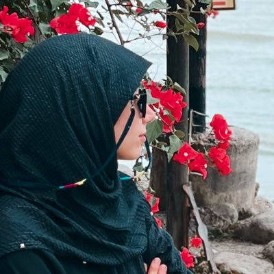zmohebian's profile picture. 