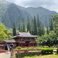 Dustin Anderson (@dustinanderso15) 's Twitter Profile Photo